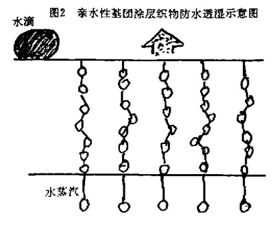 抖圈- (中国区)抖圈为赌而生